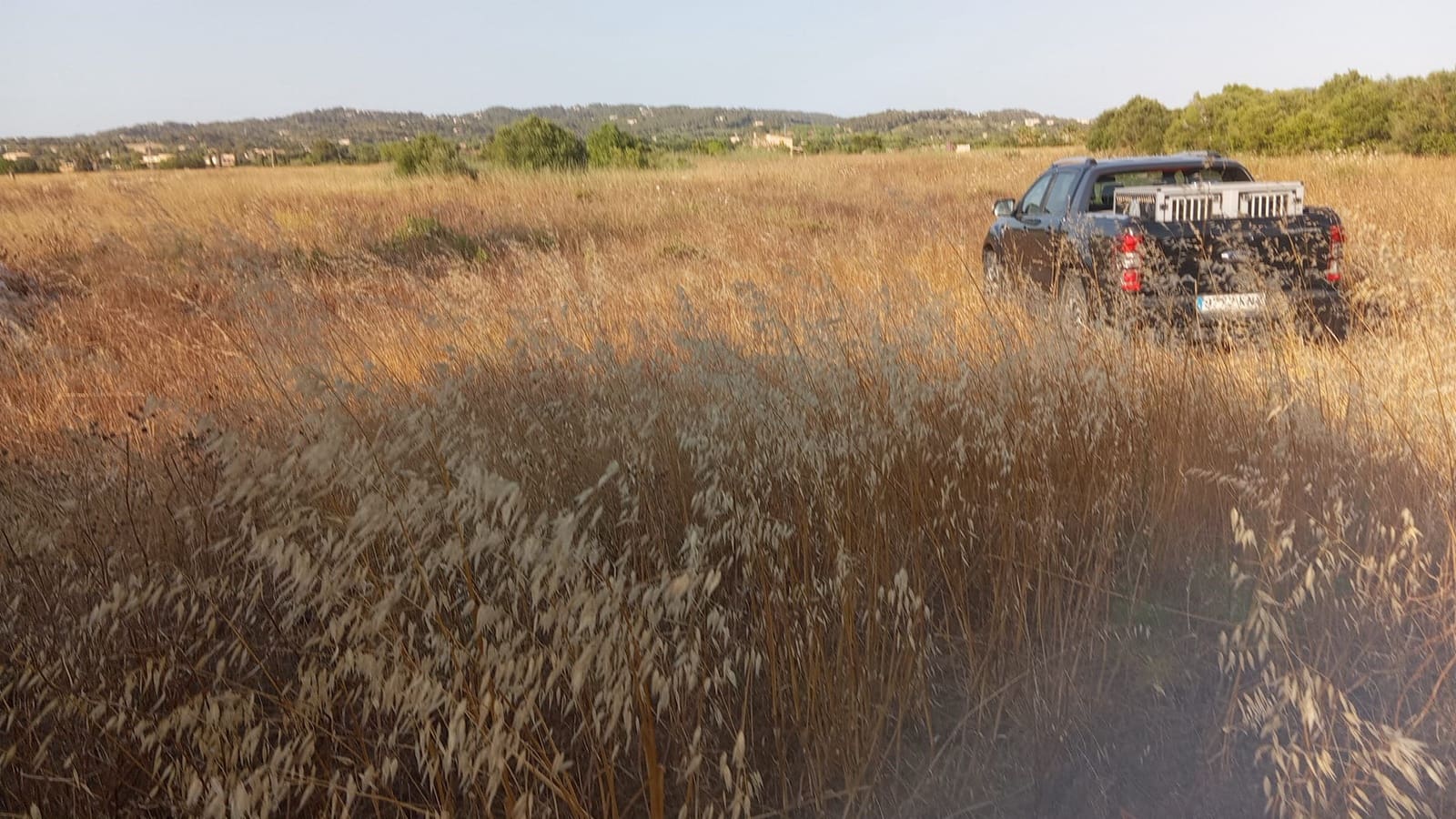 Landgrundstück zu verkaufen in Felanitx - 298.000 € (Ref: 10159896)