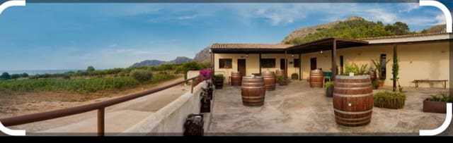 2 slaapkamer Bedrijf te koop in Artà - € 2.850.000 (Ref: 10159915)