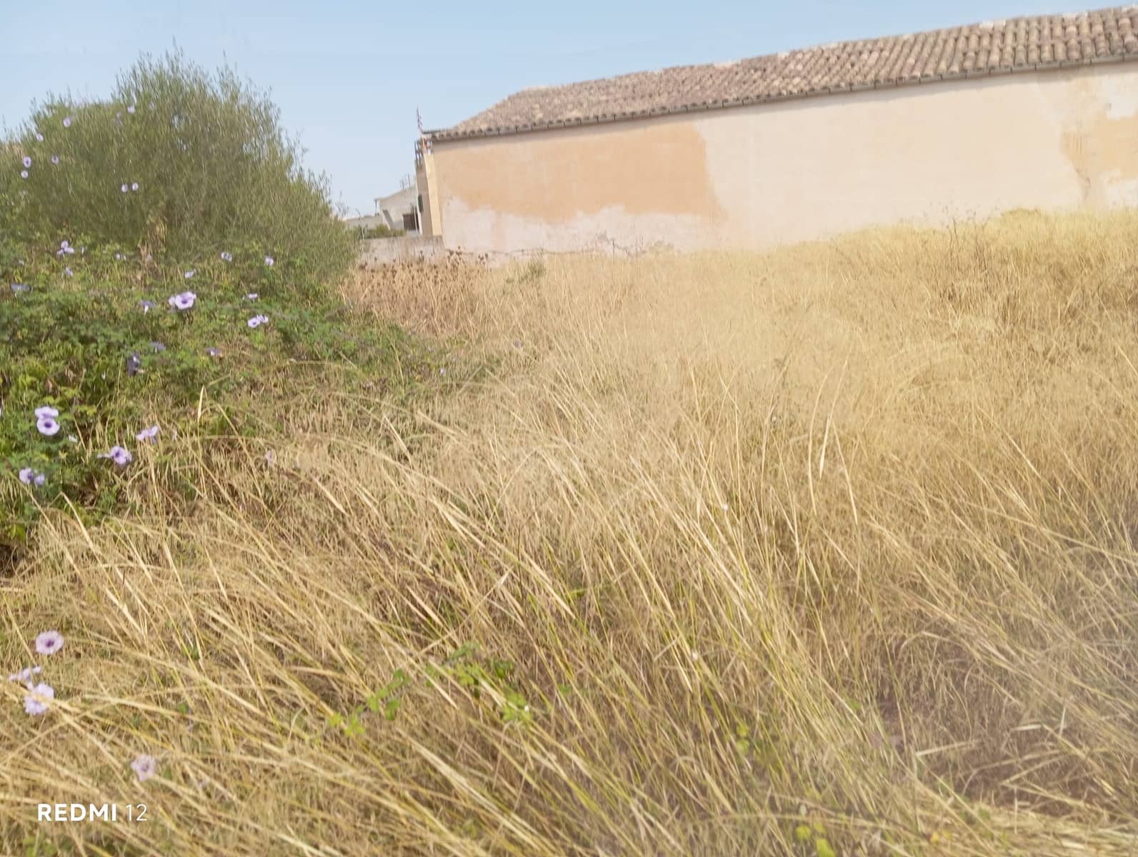 Byggegrund til salg i Manacor - € 750.000 (Ref: 10160204)