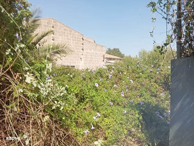 Byggegrund til salg i Manacor - € 750.000 (Ref: 10160204)