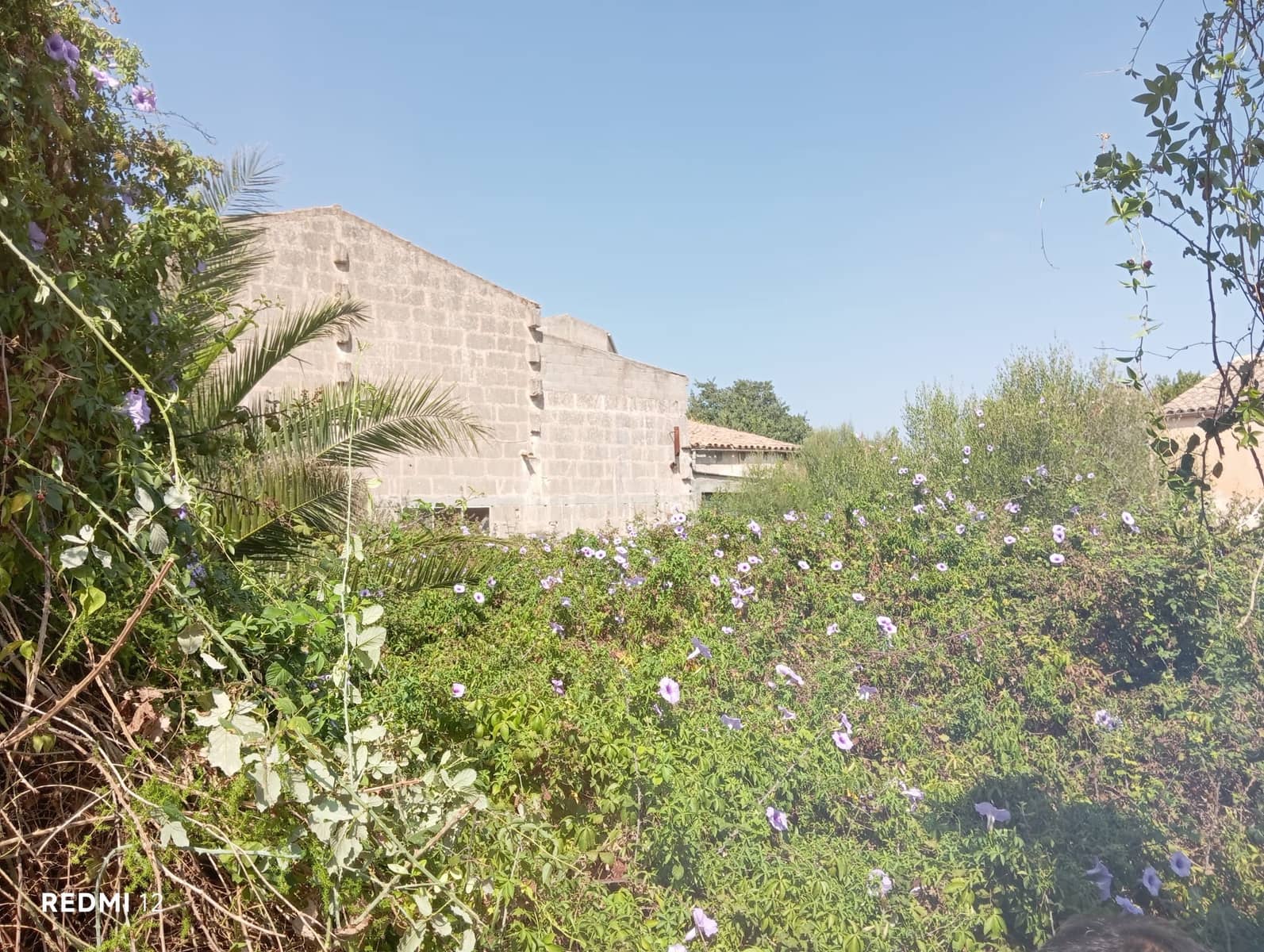 Byggegrund til salg i Manacor - € 750.000 (Ref: 10160204)