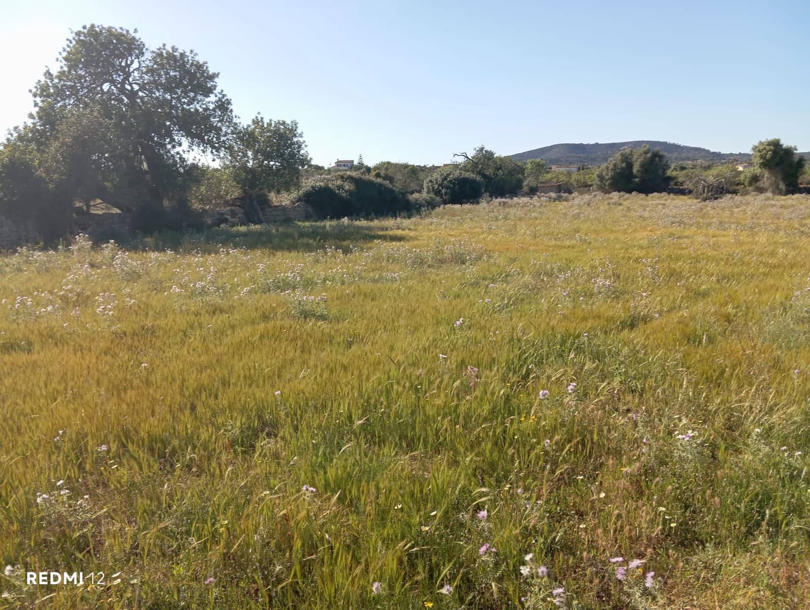 Ubebygd land til salgs i Santanyi - € 950 000 (Ref: 10163281)