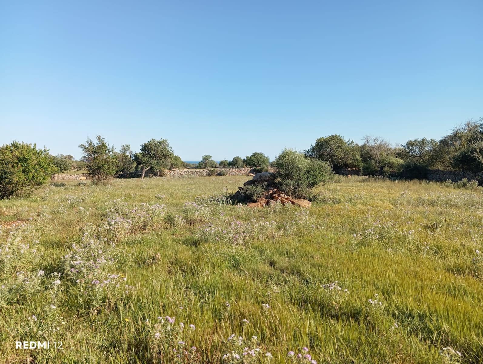 Ubebygd land til salgs i Santanyi - € 950 000 (Ref: 10163281)