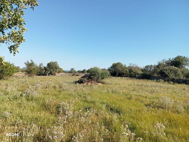 Ubebygd land til salgs i Santanyí - € 950 000 (Ref: 10163281)