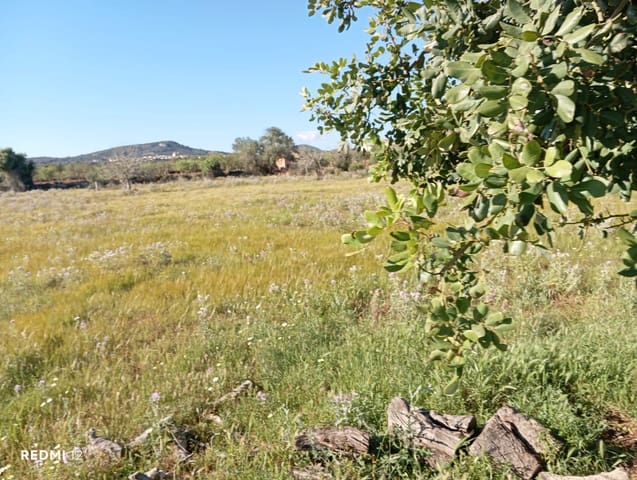 Ubebygd land til salgs i Santanyí - € 950 000 (Ref: 10163281)