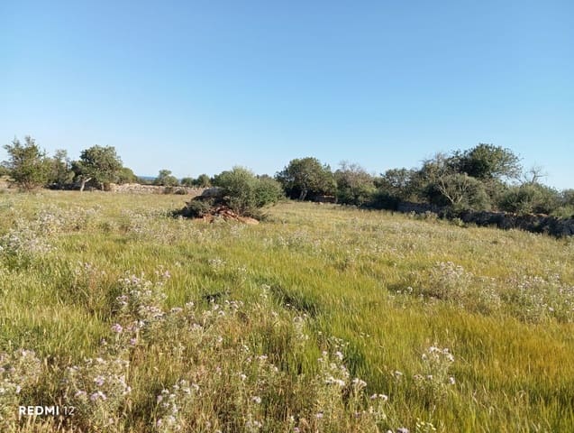 Ubebygd land til salgs i Santanyí - € 950 000 (Ref: 10163281)