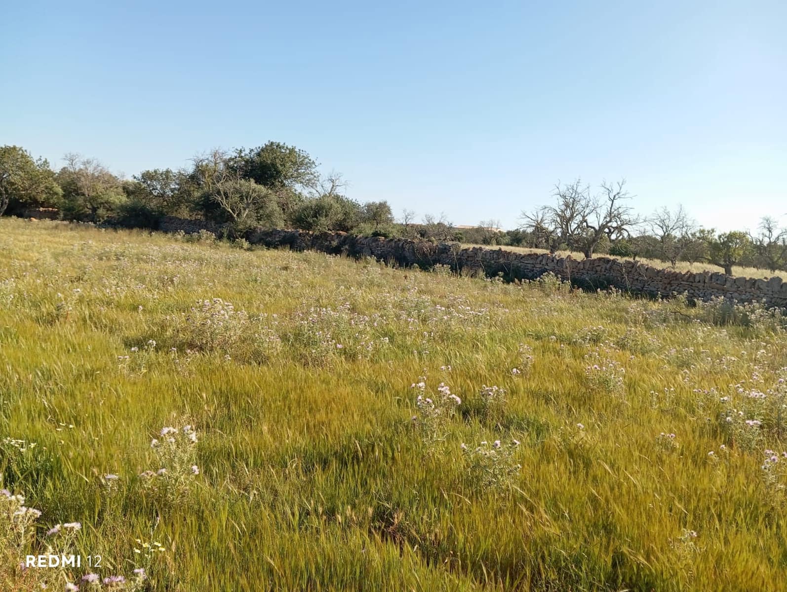 Ubebygd land til salgs i Santanyi - € 950 000 (Ref: 10163281)