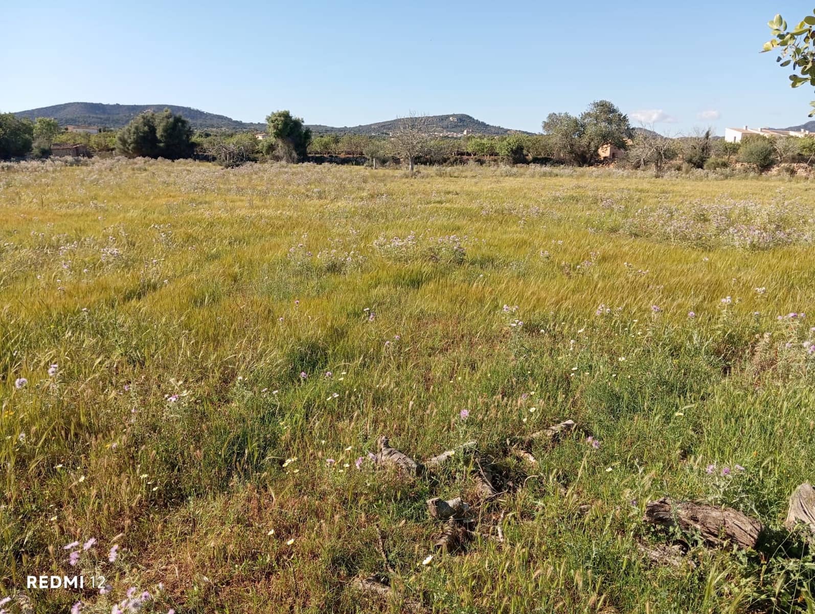 Ubebygd land til salgs i Santanyi - € 950 000 (Ref: 10163281)