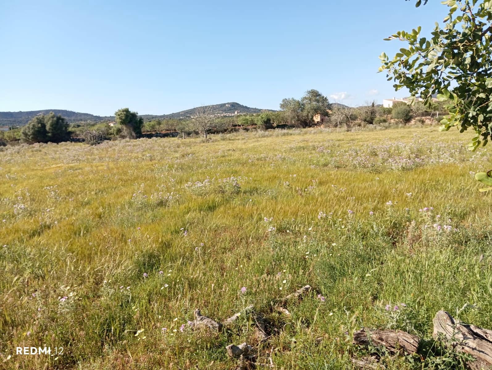 Ubebygd land til salgs i Santanyi - € 950 000 (Ref: 10163281)