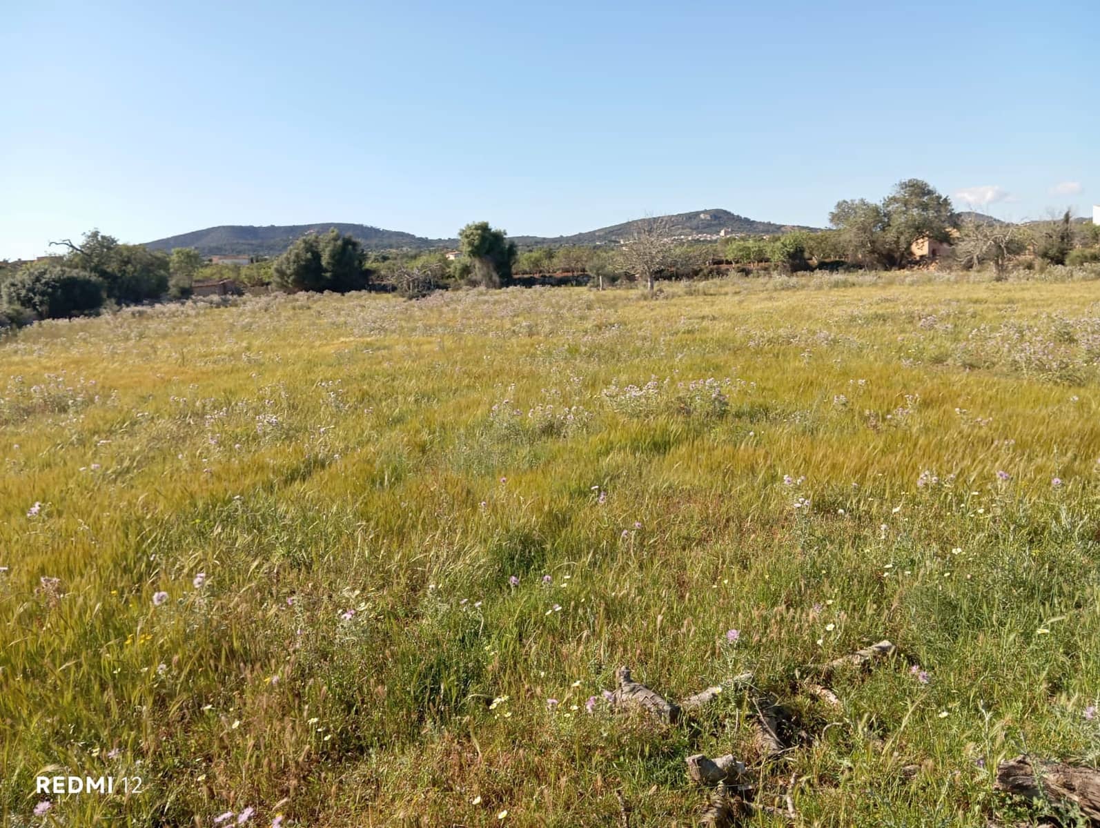 Ubebygd land til salgs i Santanyi - € 950 000 (Ref: 10163281)