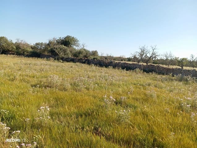 Ubebygd land til salgs i Santanyí - € 950 000 (Ref: 10163281)