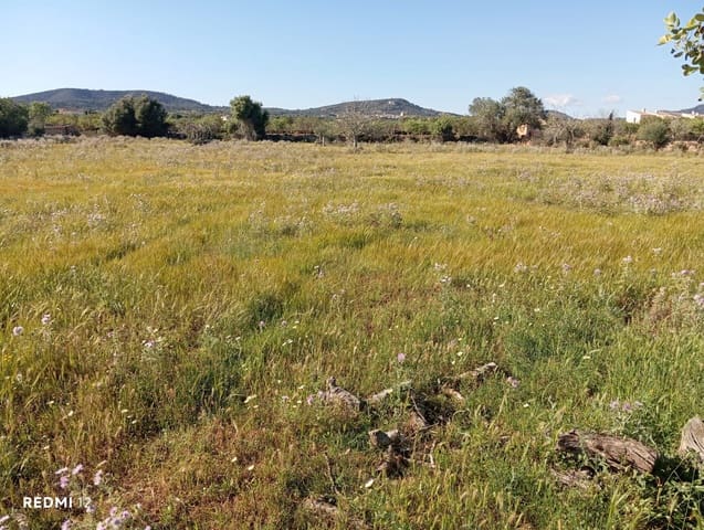 Ubebygd land til salgs i Santanyí - € 950 000 (Ref: 10163281)