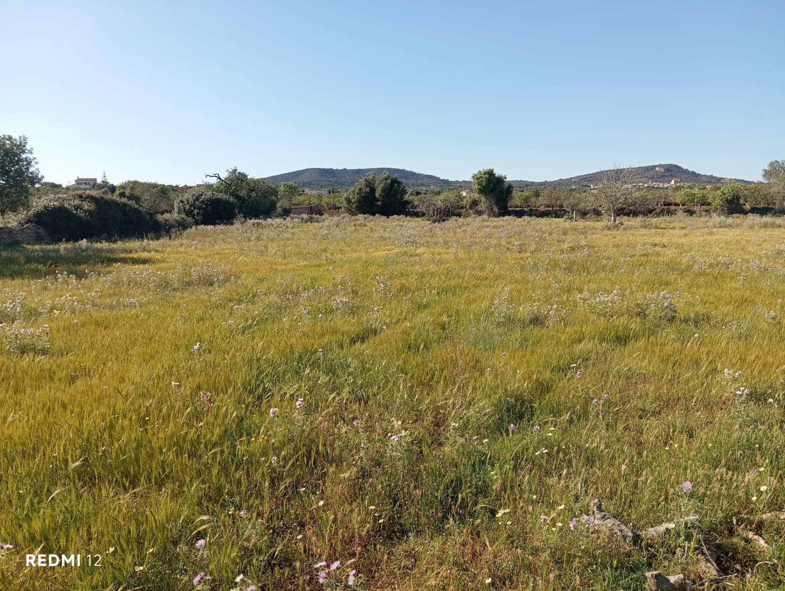 Ubebygd land til salgs i Santanyi - € 950 000 (Ref: 10163281)