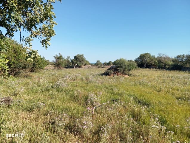 Ubebygd land til salgs i Santanyí - € 950 000 (Ref: 10163281)