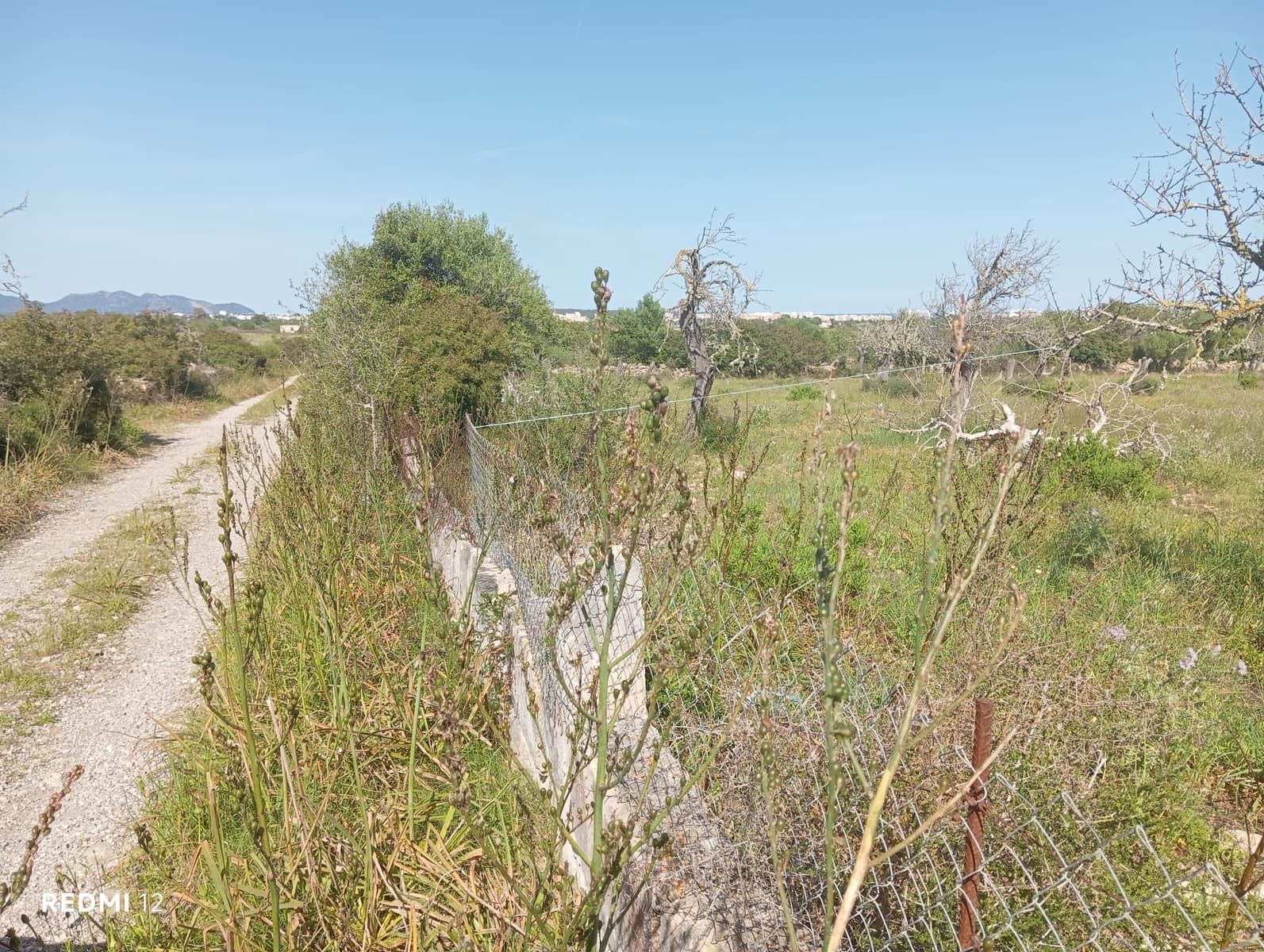 Ubebygd land til salgs i Manacor - € 330 000 (Ref: 10172166)