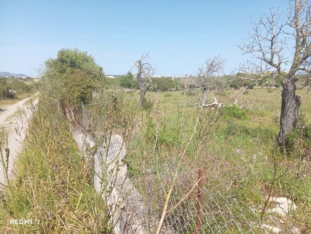 Ubebygd land til salgs i Manacor - € 330 000 (Ref: 10172166)