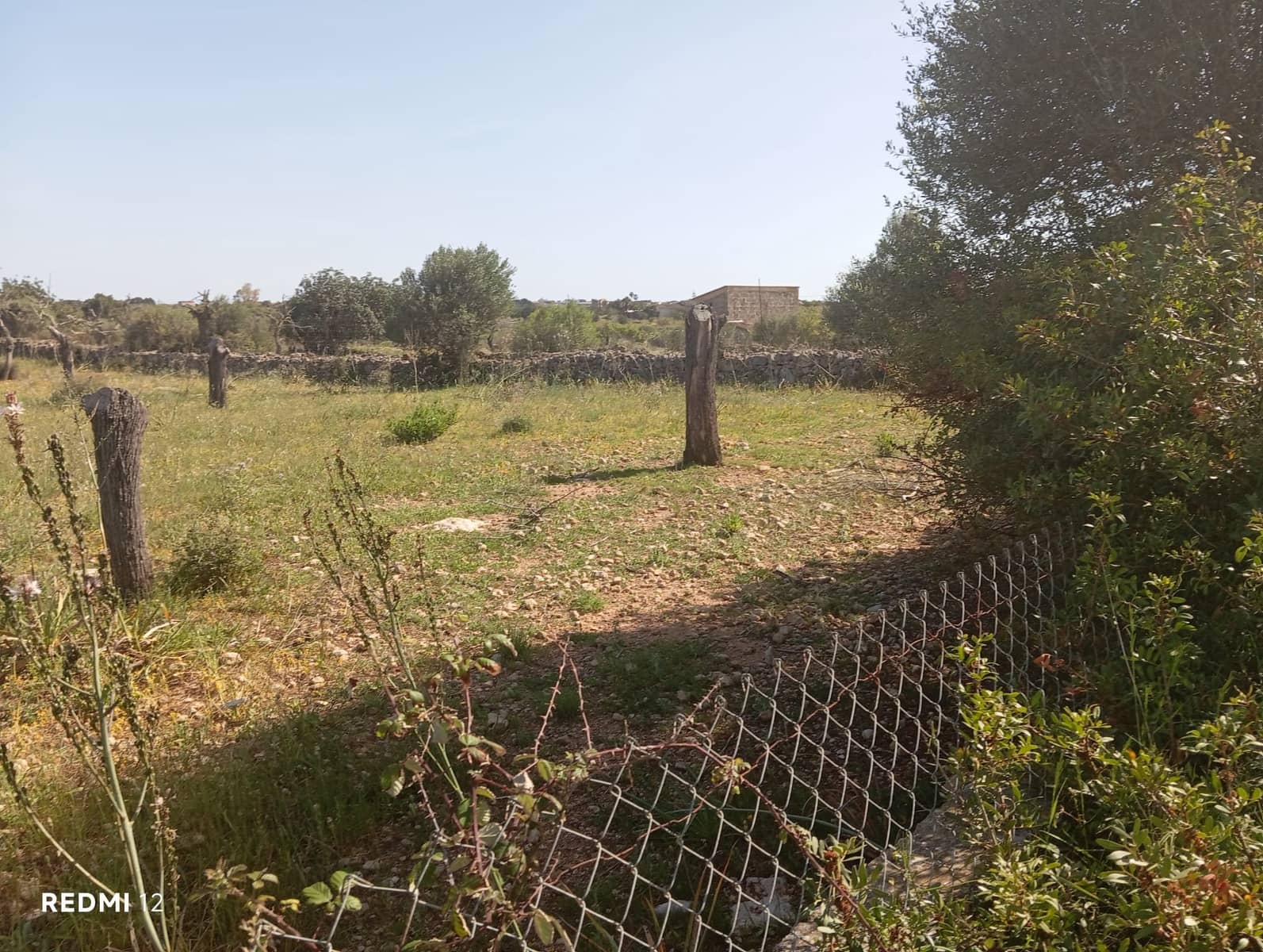 Ubebygd land til salgs i Manacor - € 330 000 (Ref: 10172166)