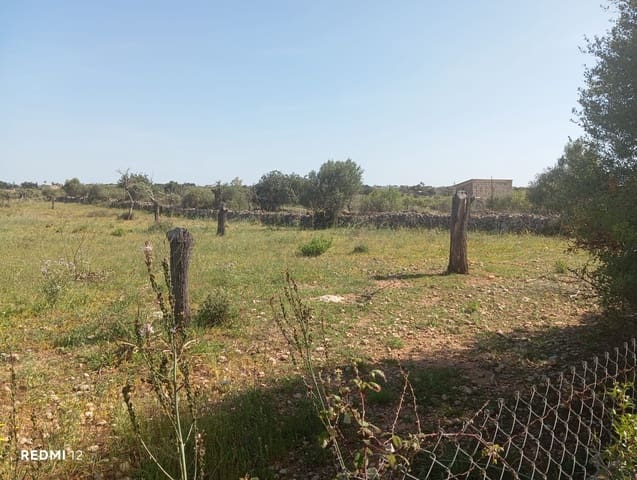 Ubebygd land til salgs i Manacor - € 330 000 (Ref: 10172166)