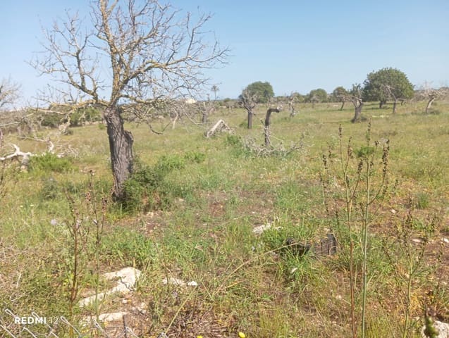 Ubebygd land til salgs i Manacor - € 330 000 (Ref: 10172166)