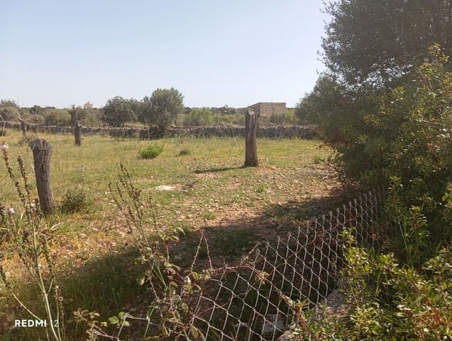Ubebygd land til salgs i Manacor - € 330 000 (Ref: 10172166)