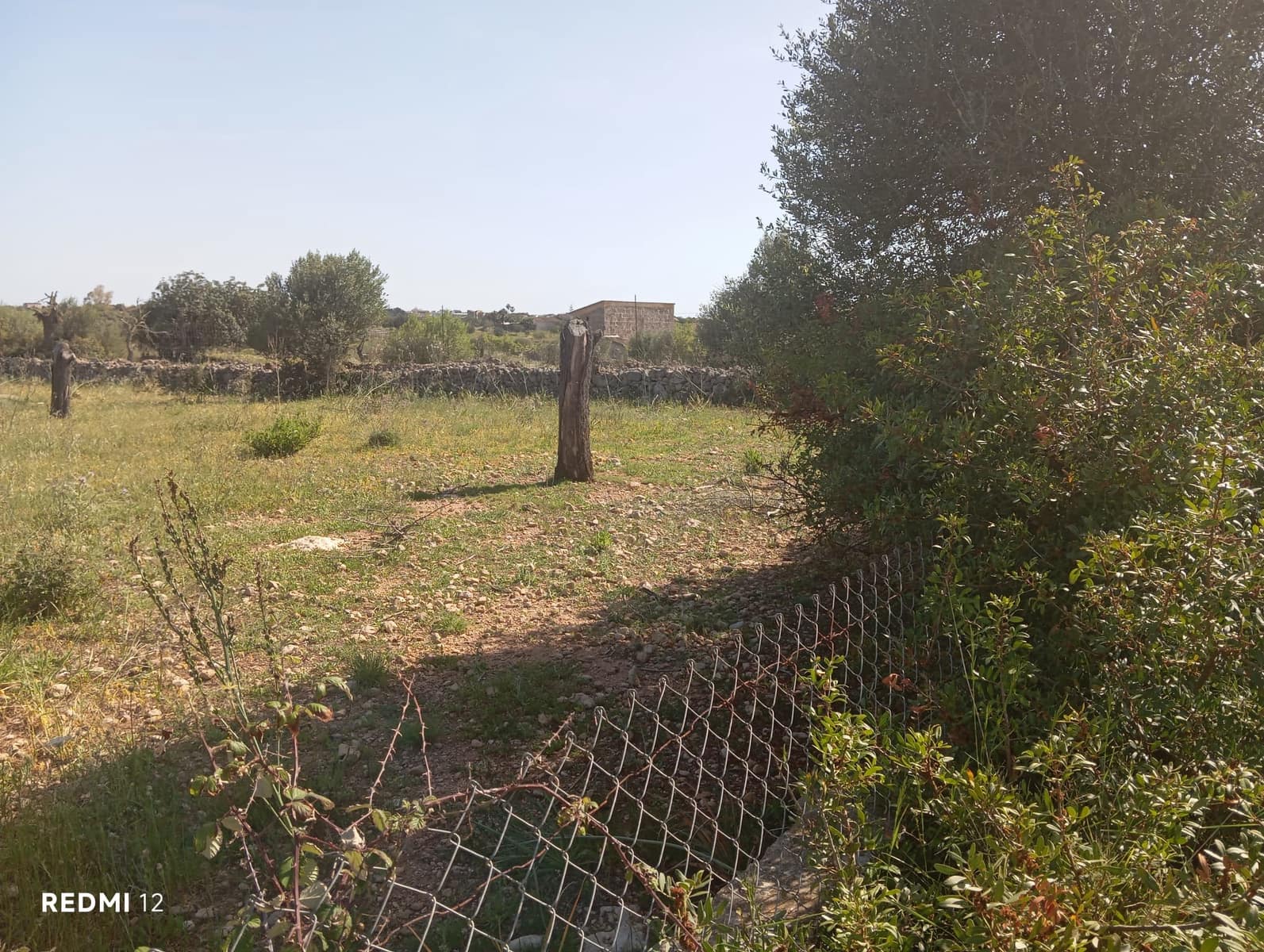 Ubebygd land til salgs i Manacor - € 330 000 (Ref: 10172166)