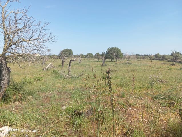 Ubebygd land til salgs i Manacor - € 330 000 (Ref: 10172166)