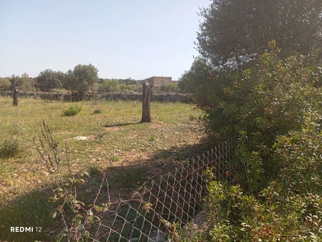 Ubebygd land til salgs i Manacor - € 330 000 (Ref: 10172166)