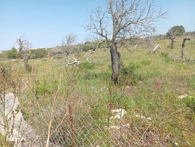 Ubebygd land til salgs i Manacor - € 330 000 (Ref: 10172166)
