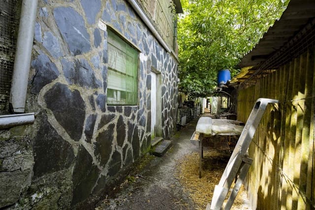 Terreno Não Urbanizado para venda em Tegueste - 385 000 € (Ref: 10004361)