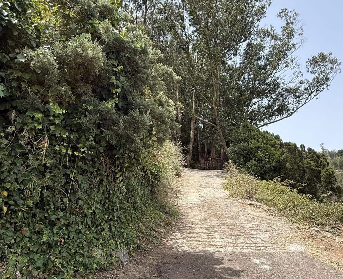 Terreno Não Urbanizado para venda em Tegueste - 385 000 € (Ref: 10004361)