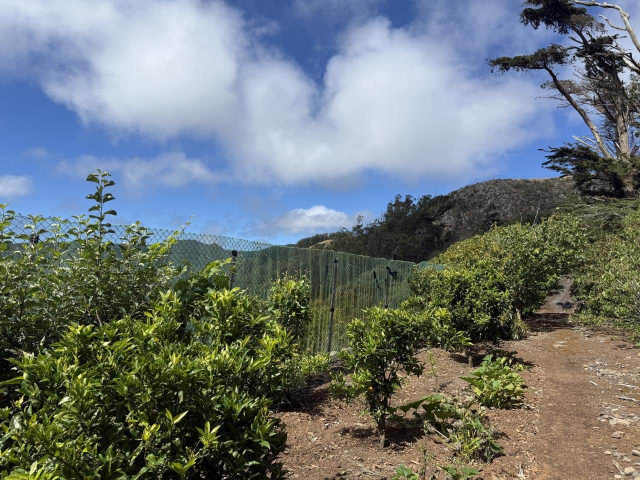Terreno Não Urbanizado para venda em Tegueste - 385 000 € (Ref: 10004361)