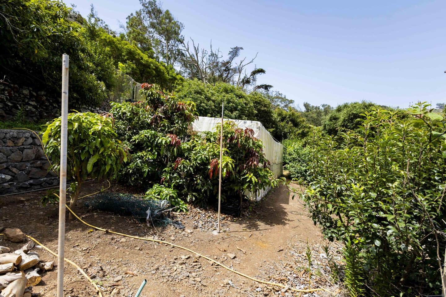 Terreno Não Urbanizado para venda em Tegueste - 385 000 € (Ref: 10004361)