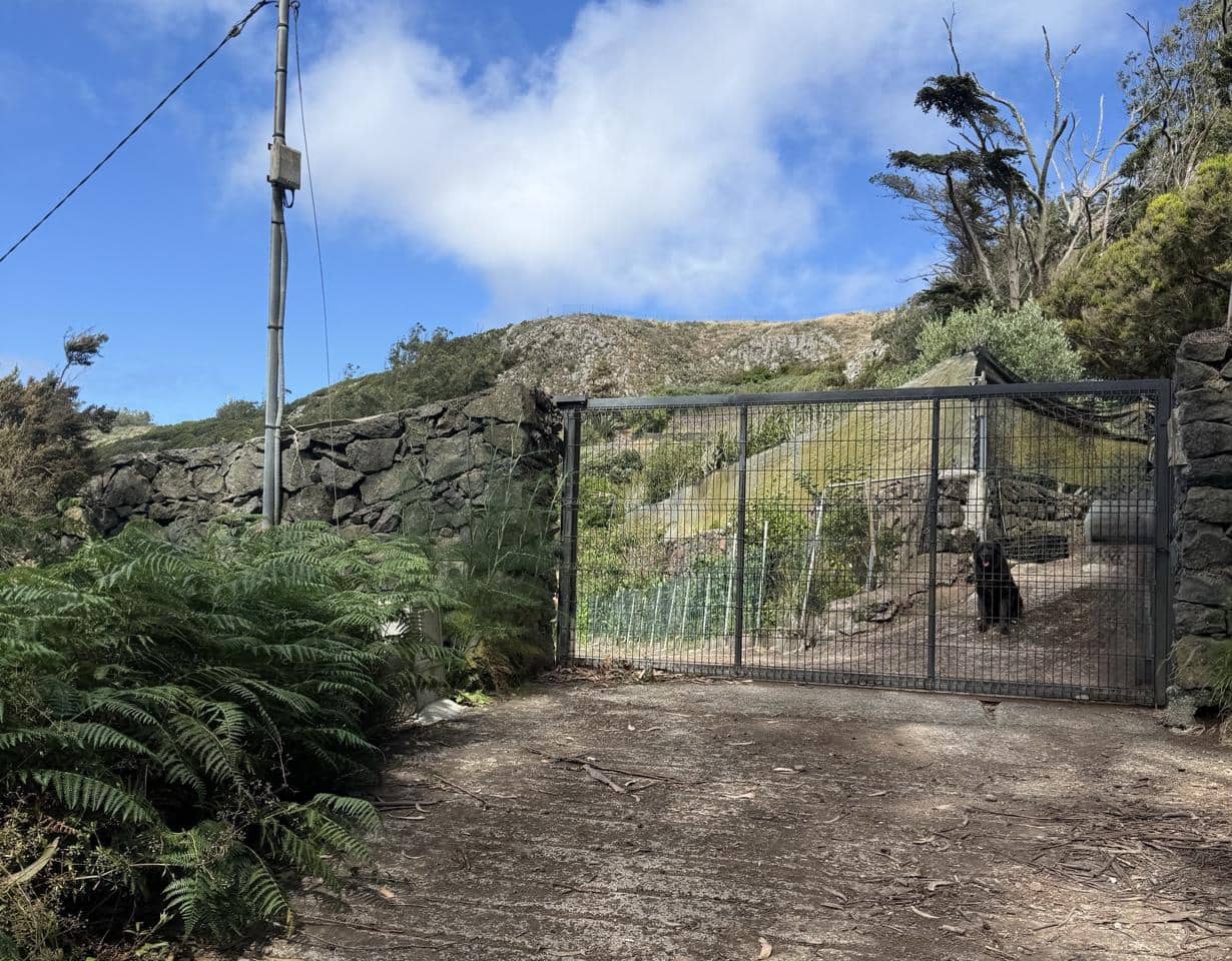 Terreno Não Urbanizado para venda em Tegueste - 385 000 € (Ref: 10004361)