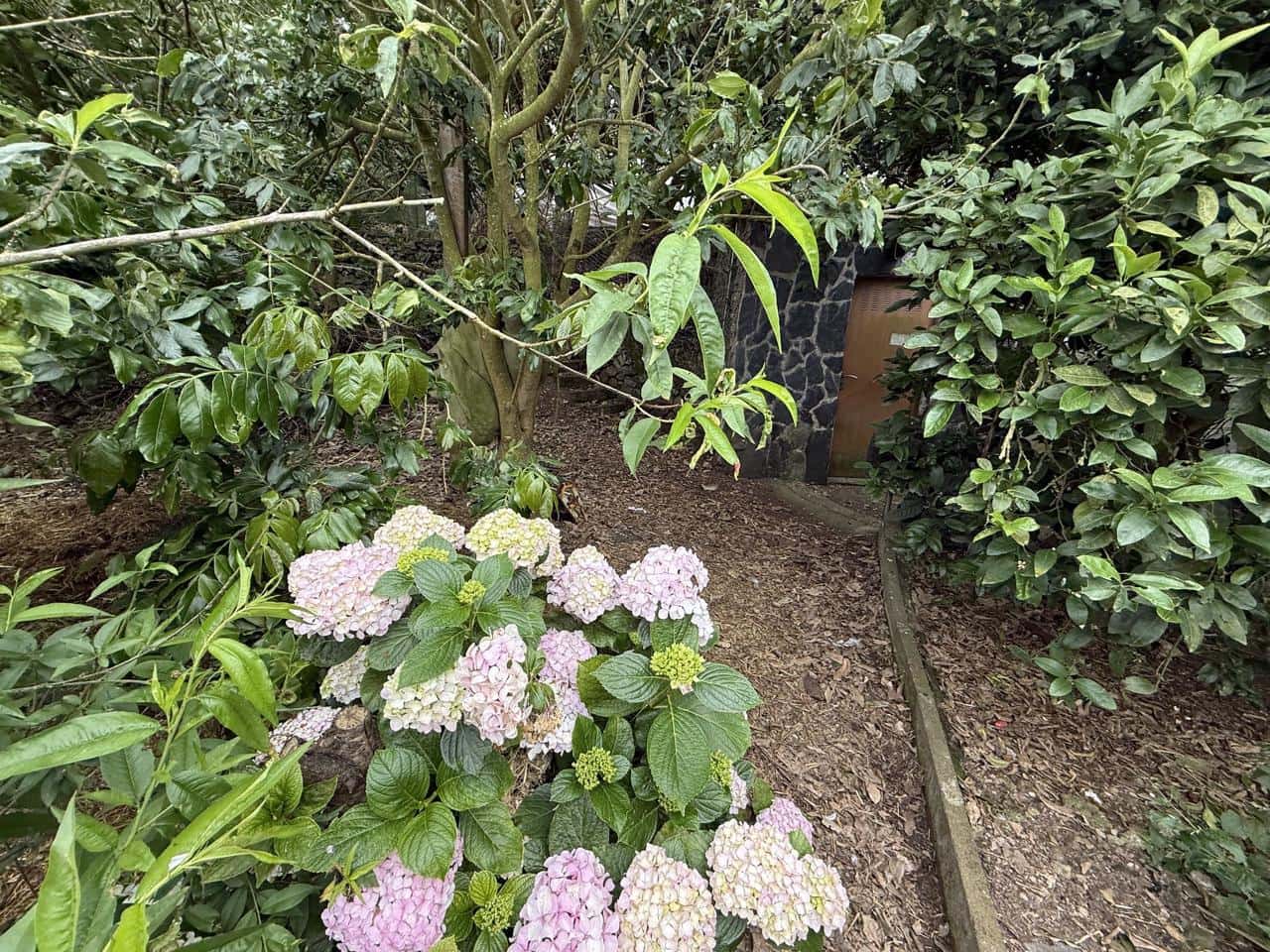 Terreno Não Urbanizado para venda em Tegueste - 385 000 € (Ref: 10004361)
