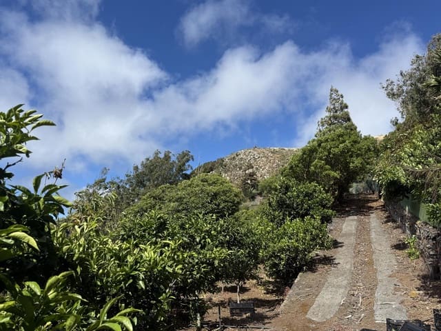 Terreno Não Urbanizado para venda em Tegueste - 385 000 € (Ref: 10004361)