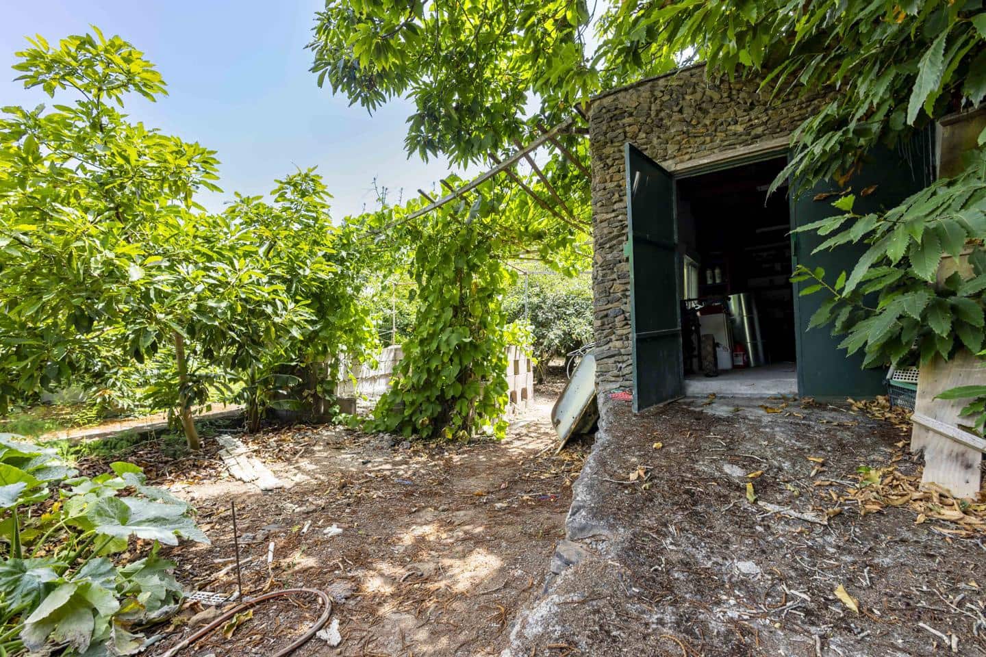 Terreno Não Urbanizado para venda em Tegueste - 385 000 € (Ref: 10004361)