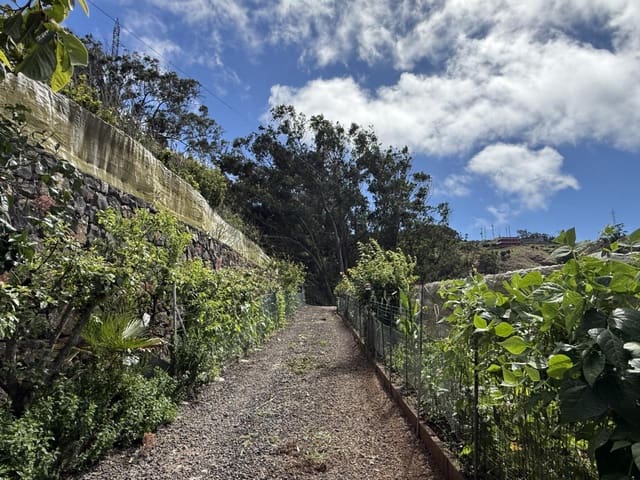 Terreno Não Urbanizado para venda em Tegueste - 385 000 € (Ref: 10004361)