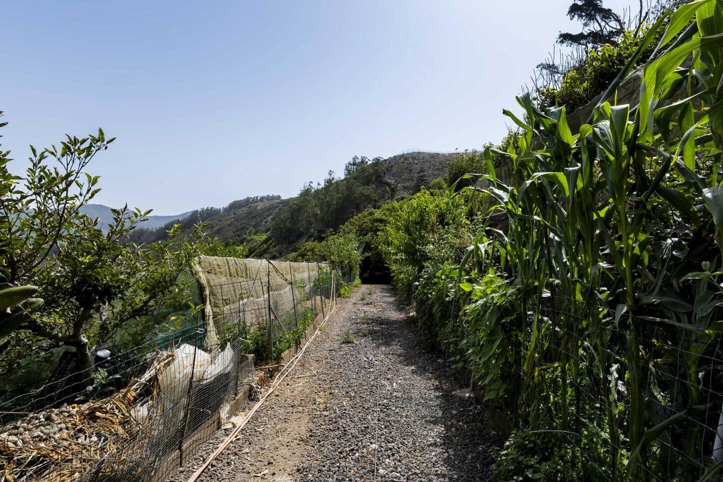 Terreno Não Urbanizado para venda em Tegueste - 385 000 € (Ref: 10004361)
