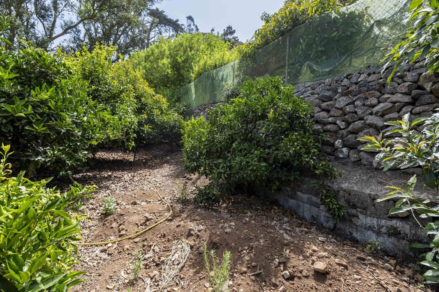 Terreno Não Urbanizado para venda em Tegueste - 385 000 € (Ref: 10004361)