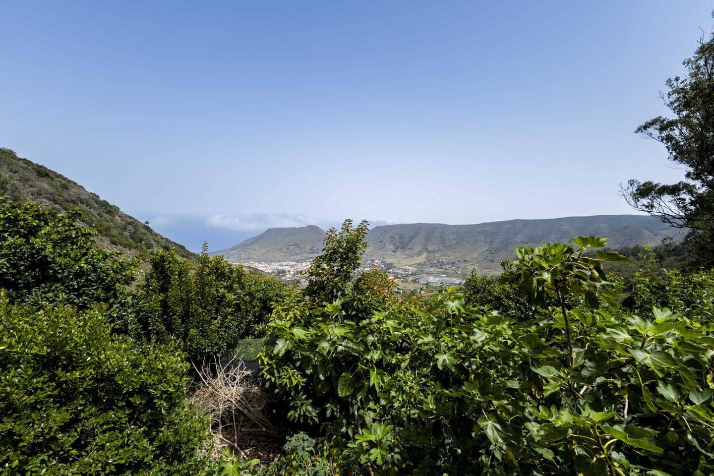 Terreno Não Urbanizado para venda em Tegueste - 385 000 € (Ref: 10004361)
