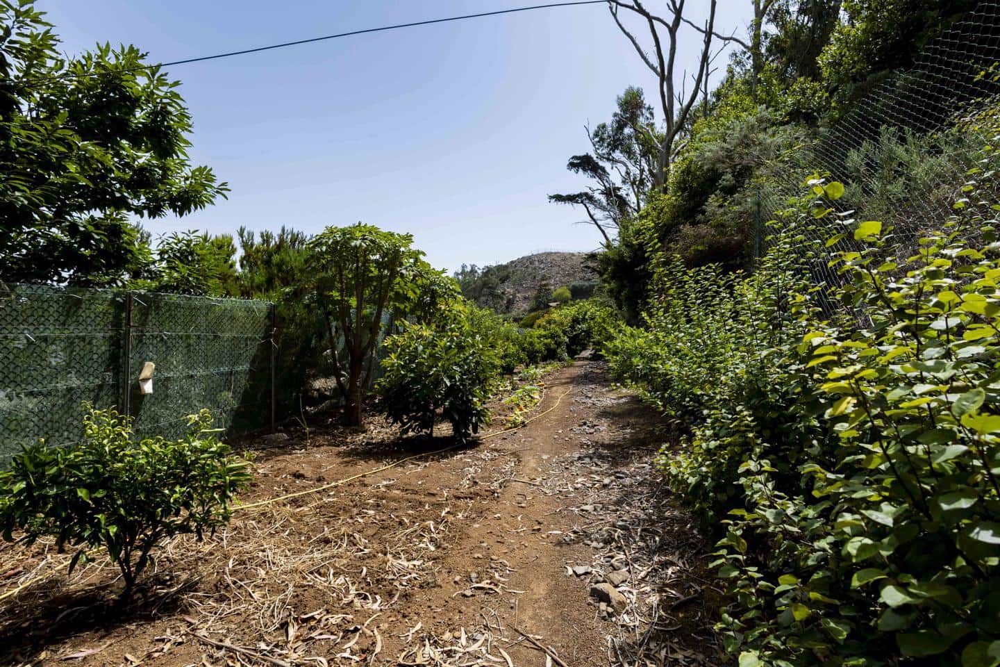 Terreno Não Urbanizado para venda em Tegueste - 385 000 € (Ref: 10004361)