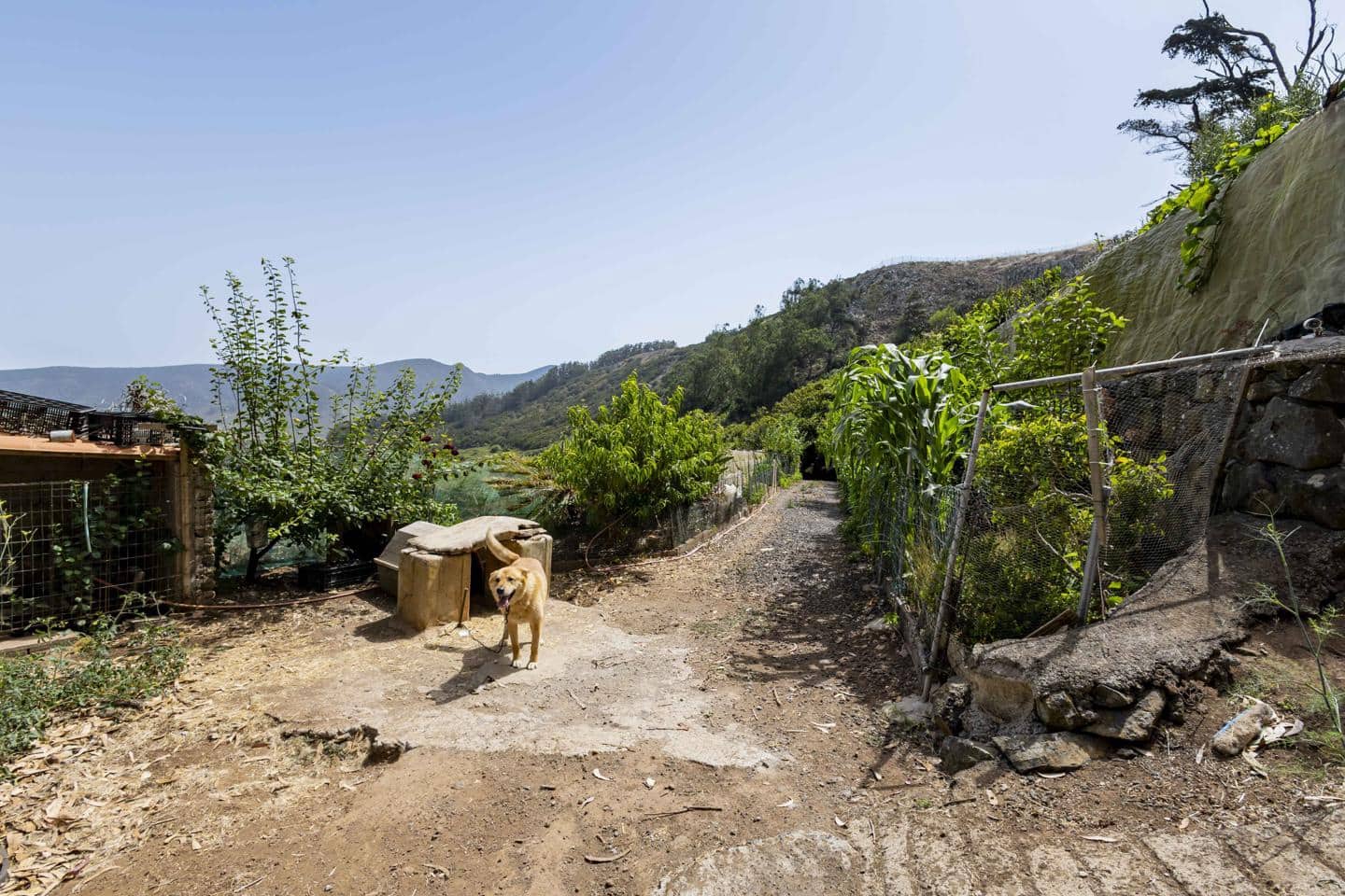 Terreno Não Urbanizado para venda em Tegueste - 385 000 € (Ref: 10004361)