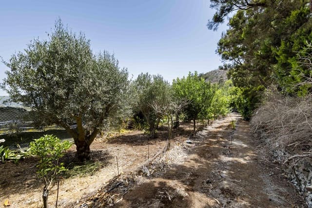 Terreno Não Urbanizado para venda em Tegueste - 385 000 € (Ref: 10004361)