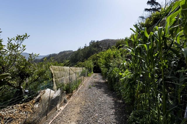 Terreno Não Urbanizado para venda em Tegueste - 385 000 € (Ref: 10004361)