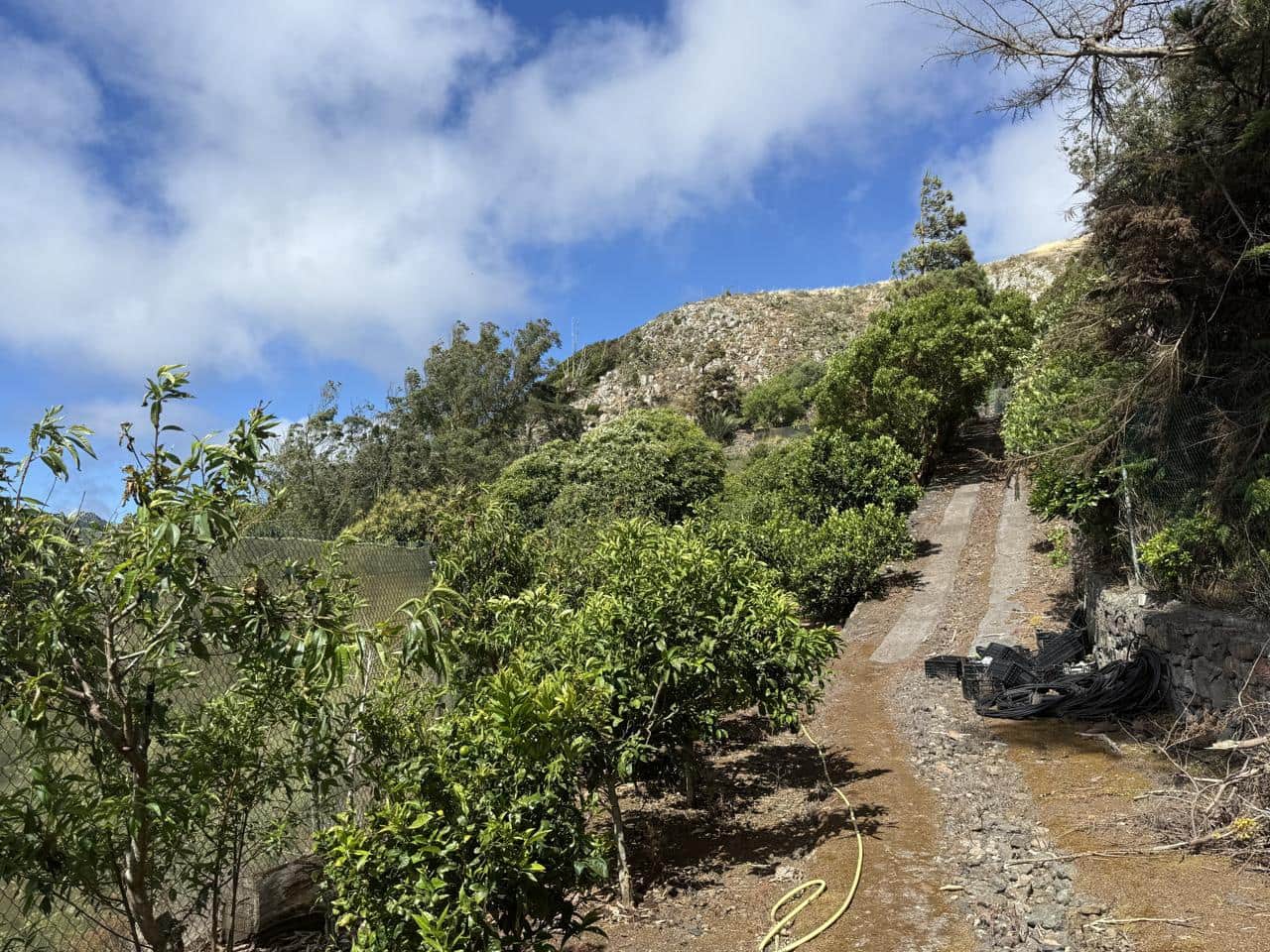 Terreno Não Urbanizado para venda em Tegueste - 385 000 € (Ref: 10004361)