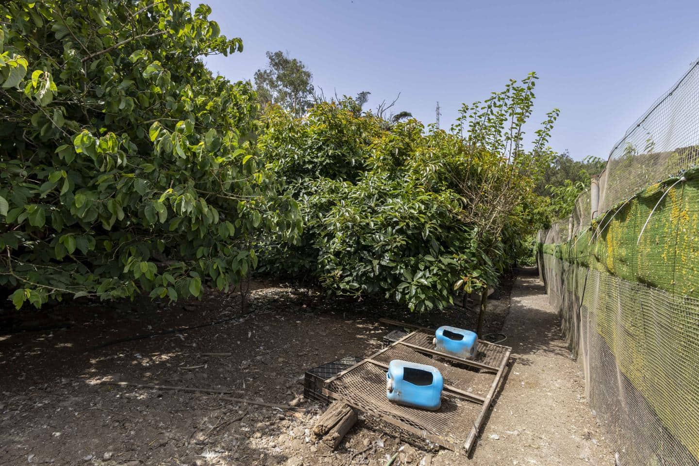 Terreno Não Urbanizado para venda em Tegueste - 385 000 € (Ref: 10004361)