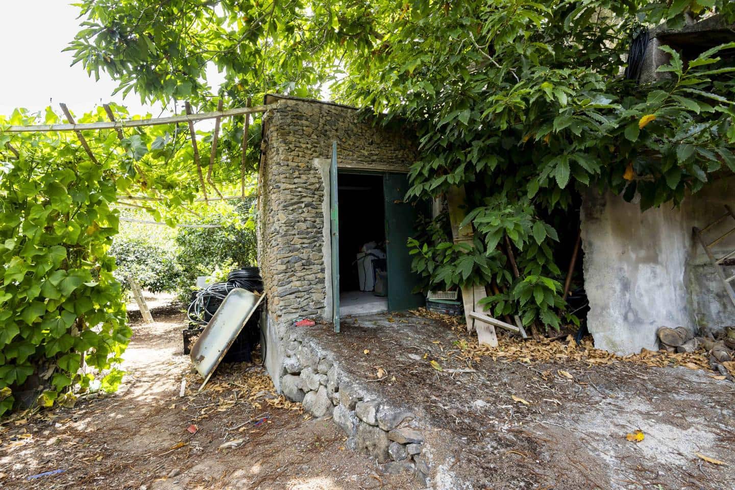 Terreno Não Urbanizado para venda em Tegueste - 385 000 € (Ref: 10004361)