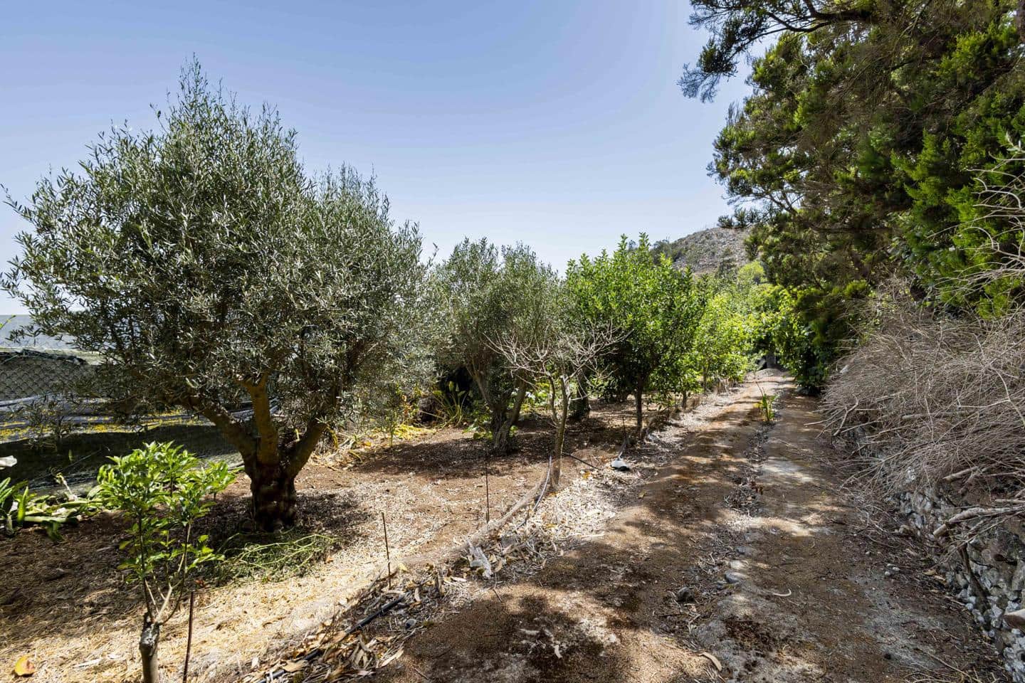 Terreno Não Urbanizado para venda em Tegueste - 385 000 € (Ref: 10004361)