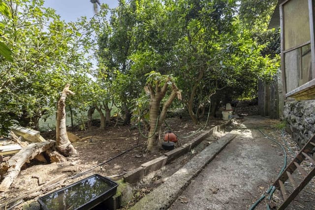 Terreno Não Urbanizado para venda em Tegueste - 385 000 € (Ref: 10004361)