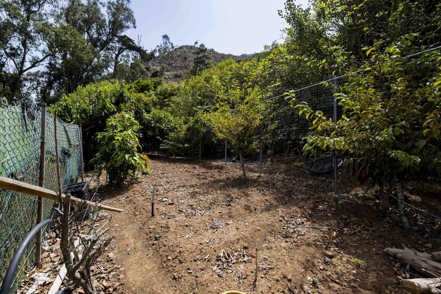 Terreno Não Urbanizado para venda em Tegueste - 385 000 € (Ref: 10004361)